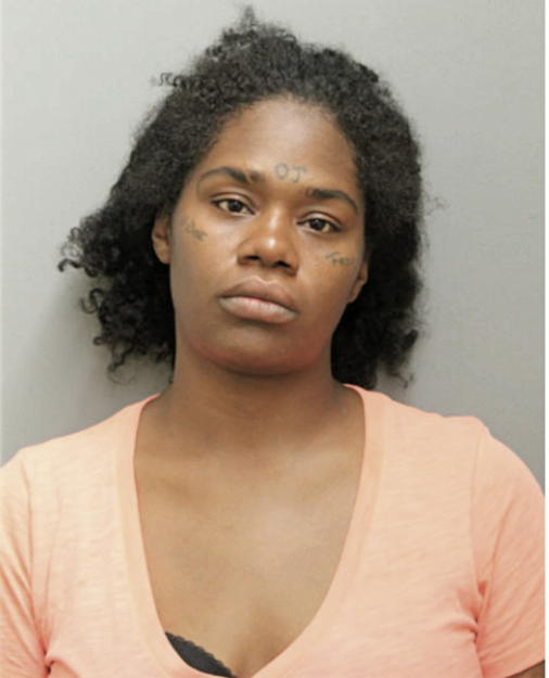 CAMILLE M JOHNSON, Cook County, Illinois