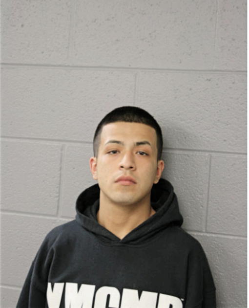 OMAR LANDEROS, Cook County, Illinois
