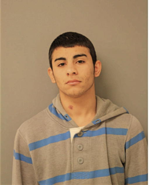 ERLIN LARIOS, Cook County, Illinois