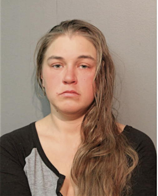 DANIELLA D LEIDING, Cook County, Illinois
