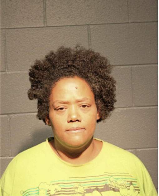 TAMARA N THOMPSON, Cook County, Illinois
