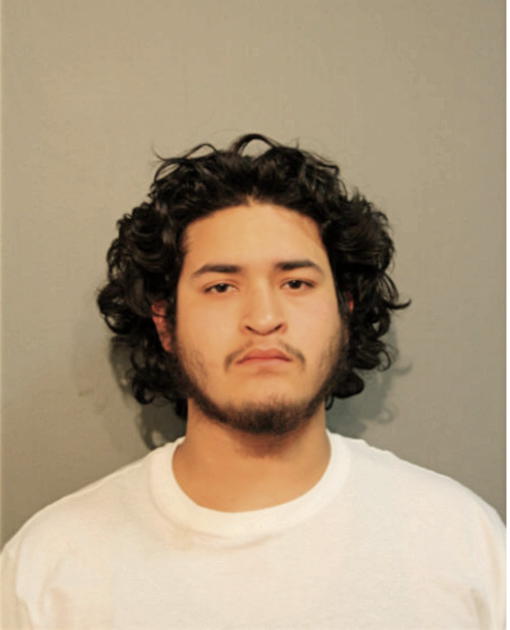 SERGIO D PINA, Cook County, Illinois