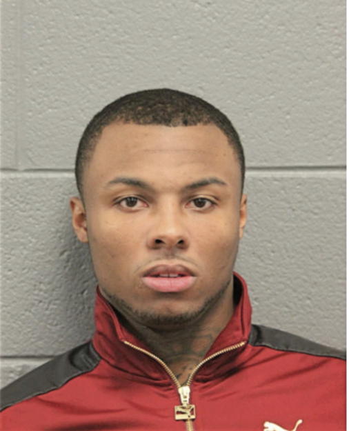 MICHAEL J PITTS, Cook County, Illinois