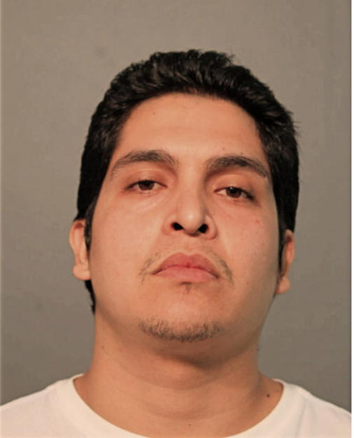 ELVIS G RUIZ, Cook County, Illinois