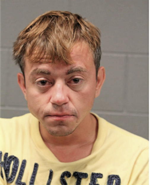 VARESCU SDARESCU, Cook County, Illinois