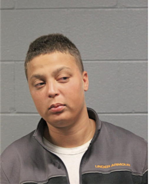 ANITA MARIE SIMS, Cook County, Illinois