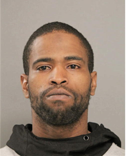 BRUCE L THOMPSON, Cook County, Illinois