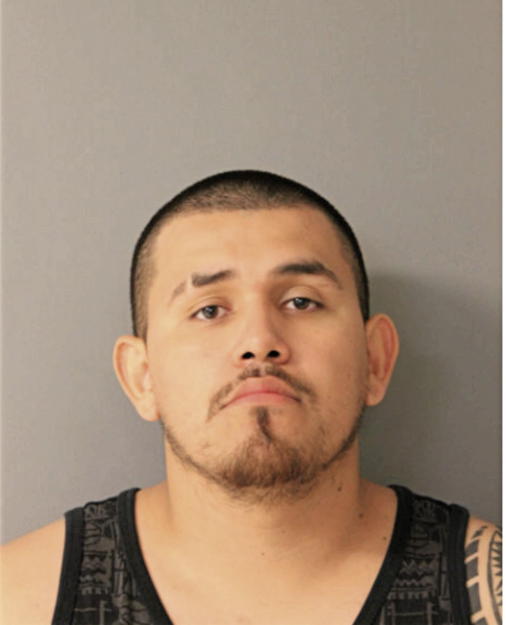 IVAN VALDES, Cook County, Illinois