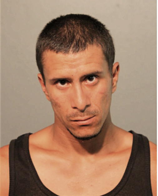 EMANUEL SOLER VARGAS, Cook County, Illinois