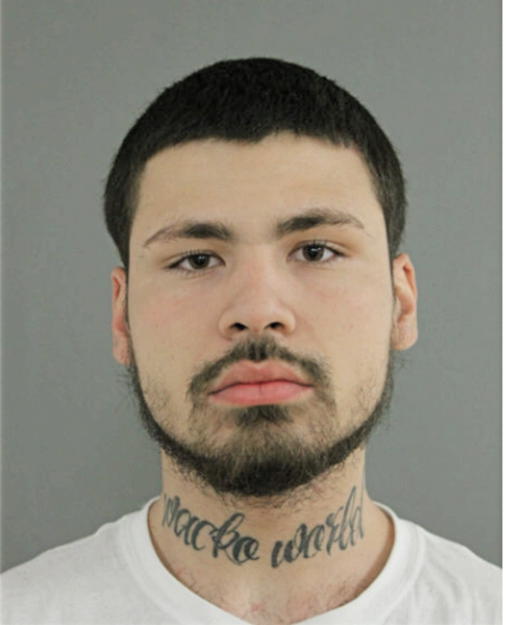 JUSTIN J VENTURA, Cook County, Illinois