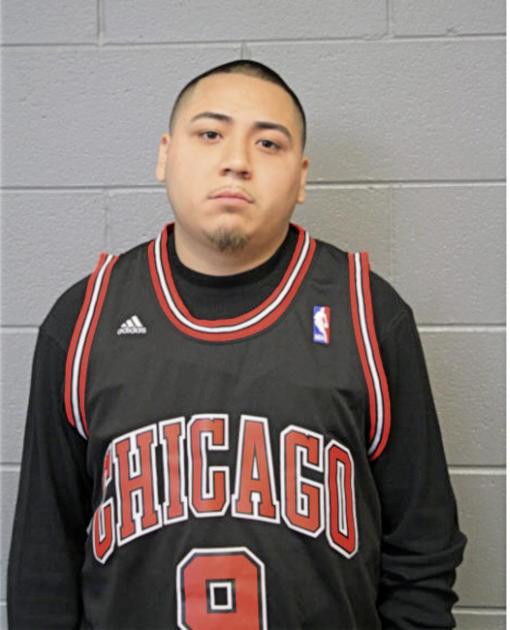 MANUEL VILCHIZ, Cook County, Illinois