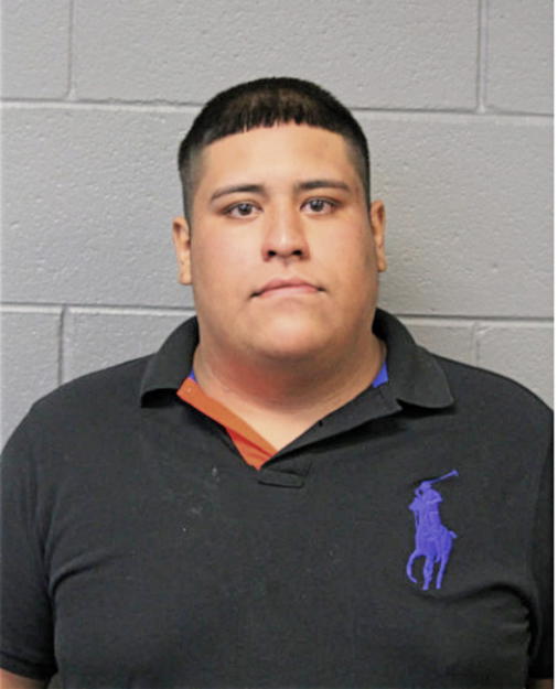 RODOLFO ALAMO, Cook County, Illinois