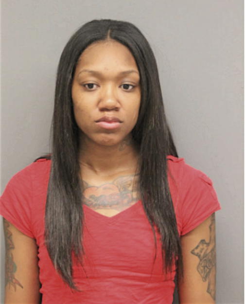 KATINA T ALEXANDER, Cook County, Illinois