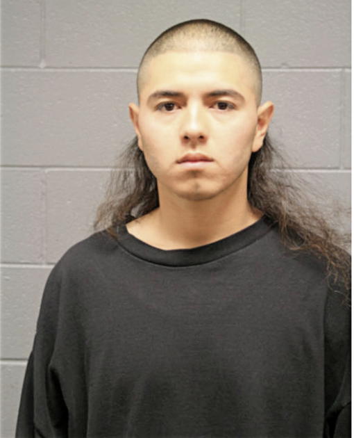 PAUL E BELLO, Cook County, Illinois