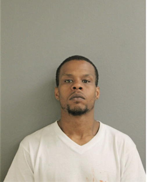 STEVEN L BRADY, Cook County, Illinois