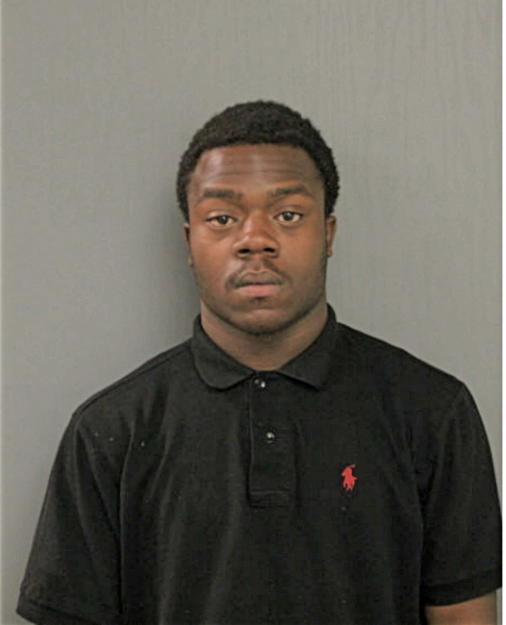 NATHANIEL E BROWN, Cook County, Illinois