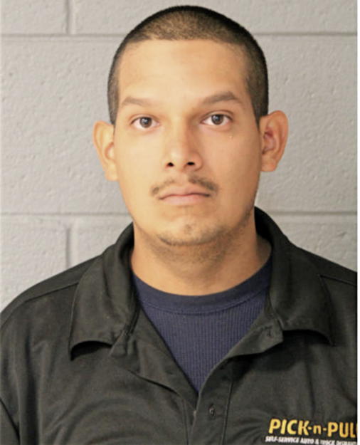 ANDY JAVIER CARDENAS, Cook County, Illinois