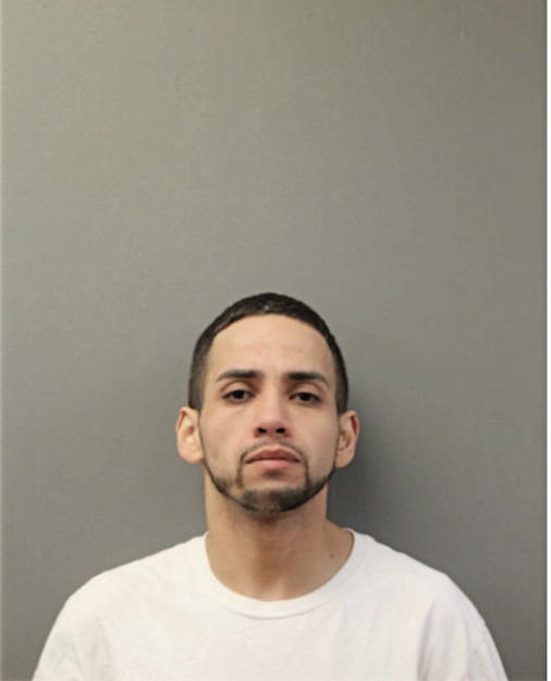 LOUIS A CARRASQUILLO, Cook County, Illinois