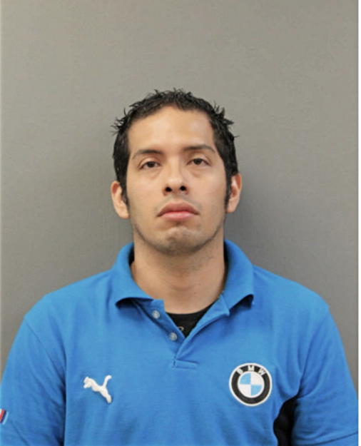 LUIS A CARVAJAL, Cook County, Illinois