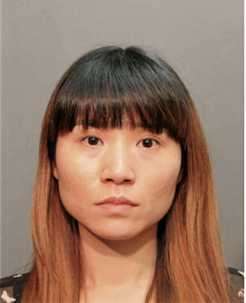 CAIXIA CHEN, Cook County, Illinois