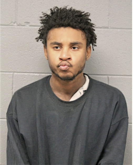 CHRISTOPHER D LEWIS, Cook County, Illinois