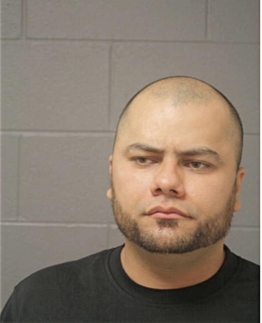 JOSE D DEANDA, Cook County, Illinois