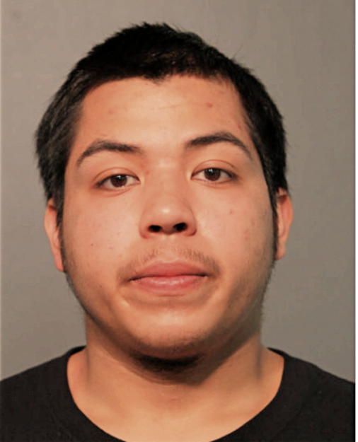 JAVIER DELGADO, Cook County, Illinois