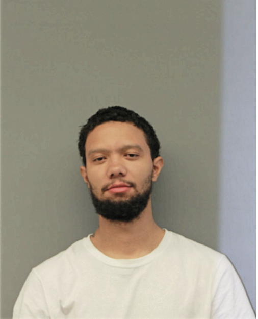 JAMES M FRIEZE, Cook County, Illinois