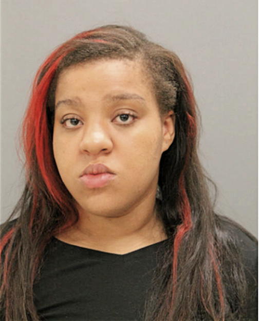 TIERRA G GARRETT, Cook County, Illinois