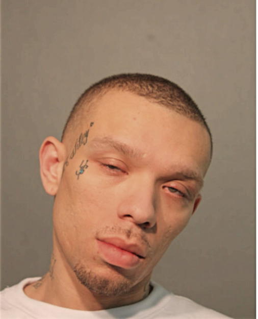 DAVID GONZALEZ, Cook County, Illinois