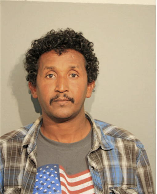 ALI O HAMID, Cook County, Illinois