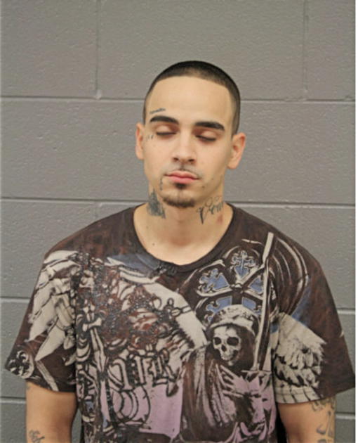 WILLIAM X HERNANDEZ, Cook County, Illinois
