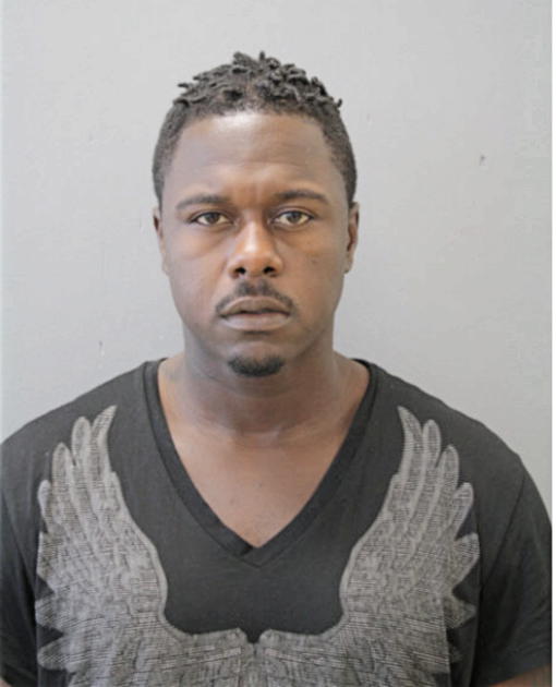 DAVID HUDSON, Cook County, Illinois