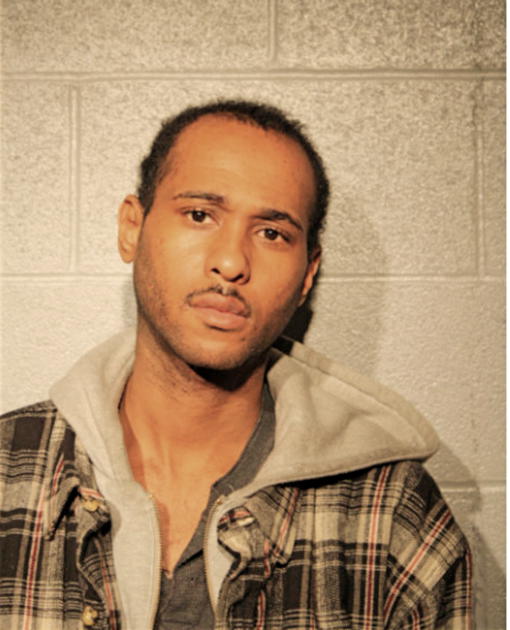 DAMON R LAYNE, Cook County, Illinois