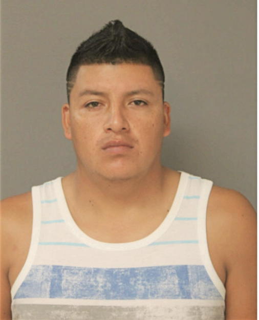 LUIS LOYA, Cook County, Illinois