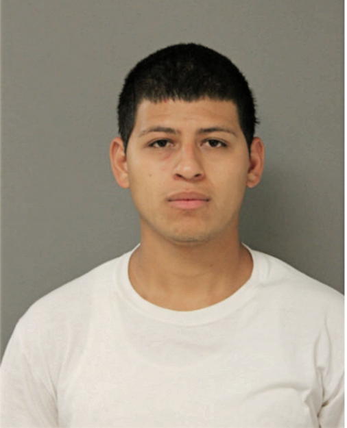 JOSE A LUGO, Cook County, Illinois