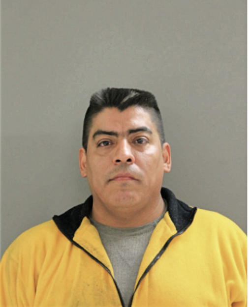 UBALDO MEDINA, Cook County, Illinois