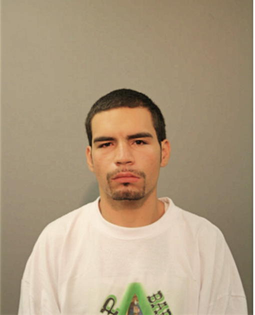 DANIEL A MOLINA, Cook County, Illinois
