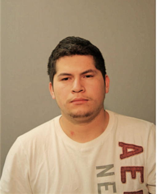 LEONZO MOLINA, Cook County, Illinois