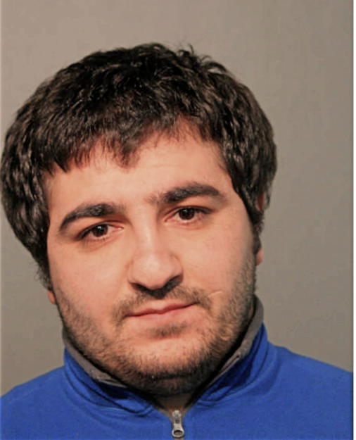 RAMIL MUSAEV, Cook County, Illinois