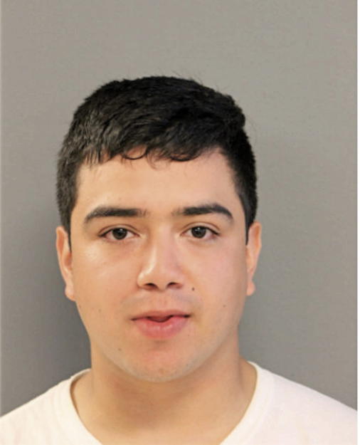 LUIS E NUNEZ, Cook County, Illinois