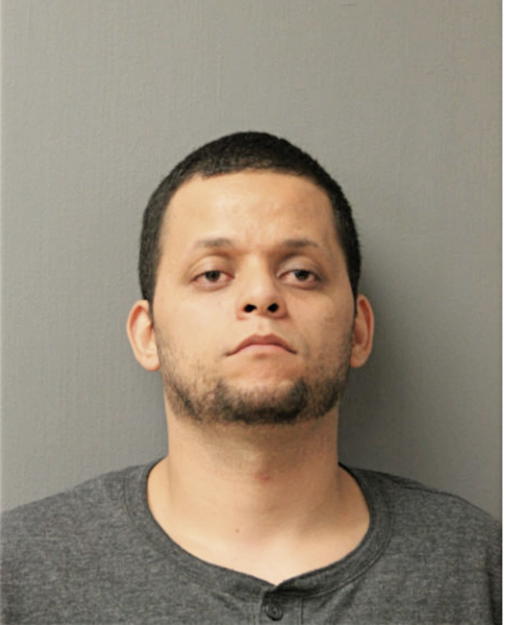 LUIS M RAMIREZ, Cook County, Illinois