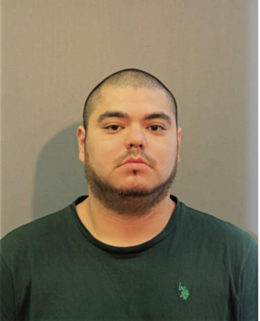 GONZALO A ROMAN, Cook County, Illinois