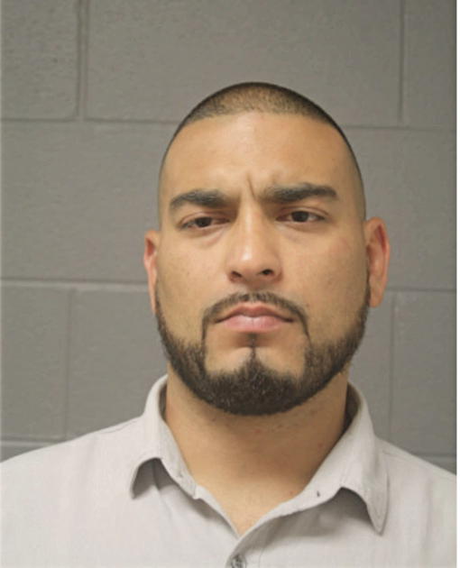JORGE SEIJA, Cook County, Illinois