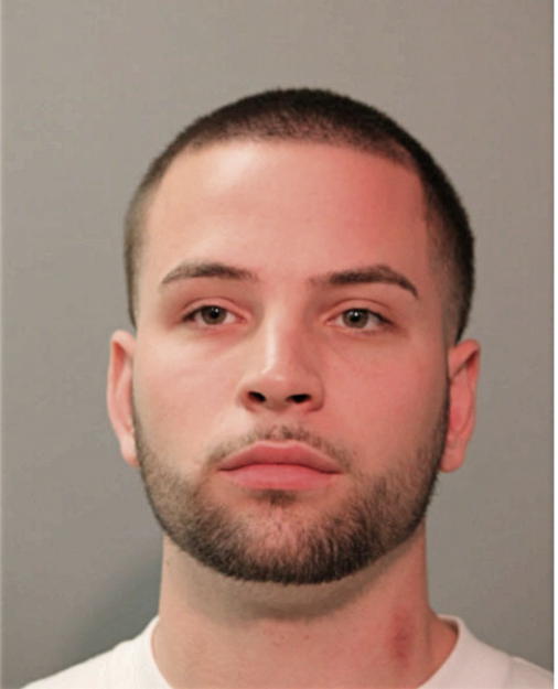 JAMES S SINNER, Cook County, Illinois