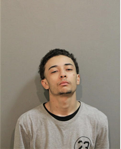 JUSTIN J TURLEY, Cook County, Illinois