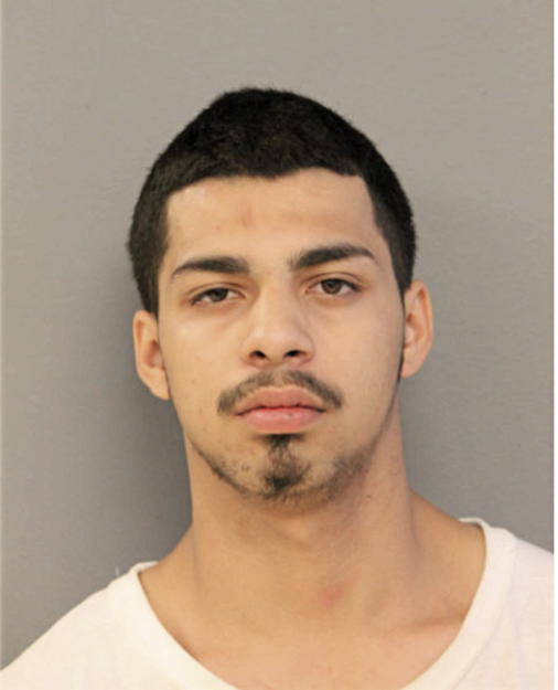 GUILLERMO M VIRAMONTES, Cook County, Illinois