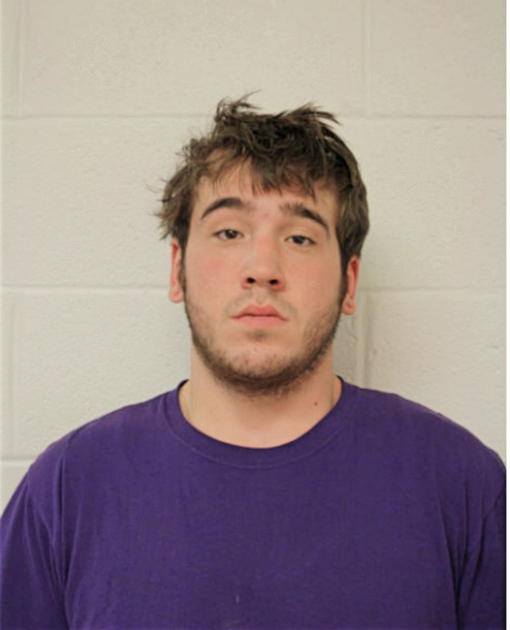 ADAM W WENHOLZ, Cook County, Illinois