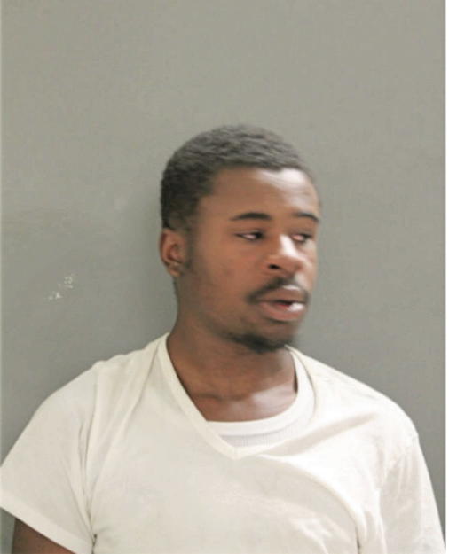 GEORGE G WILLIAMS, Cook County, Illinois
