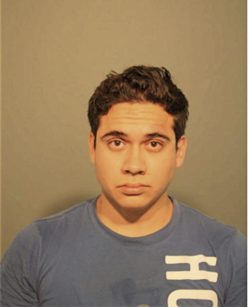 DENNIS E CARDENAS, Cook County, Illinois